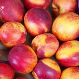 خوخ نكتارينا — خضروات الأمير