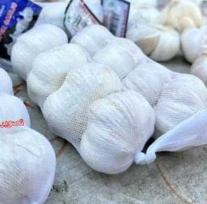 شبرة ثوم — خضروات الأمير